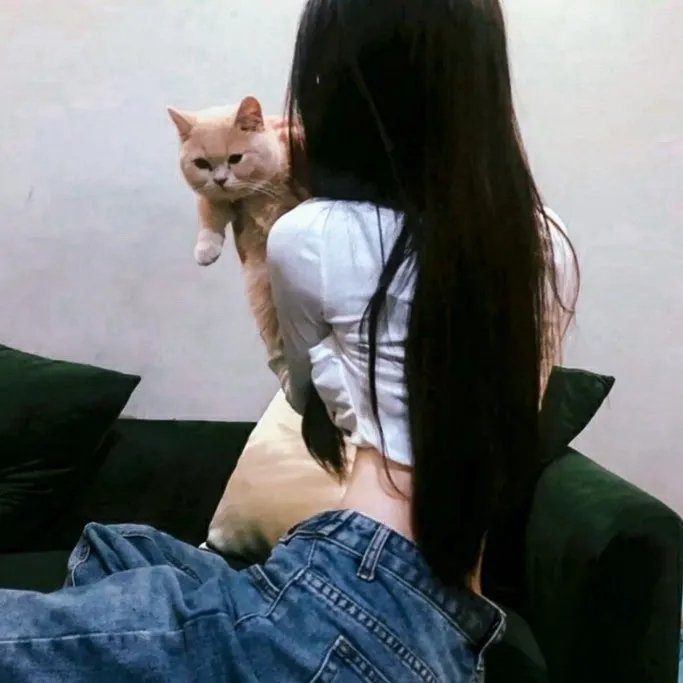 灰姑娘的诅咒